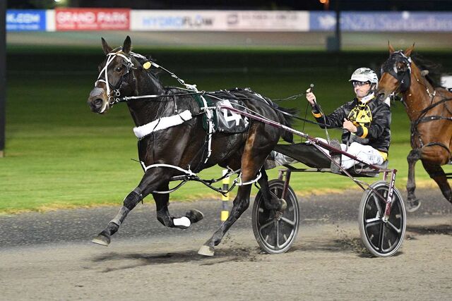 From Lifelong Passion to Group One Glory: The Pierson Dream Realised
