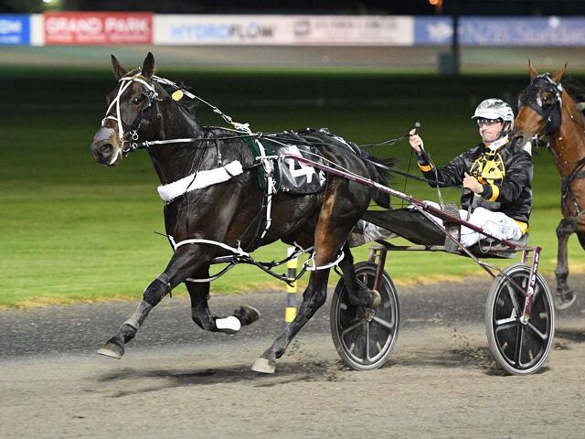 From Lifelong Passion to Group One Glory: The Pierson Dream Realised