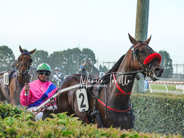 Joes Rock enhancing mare’s record