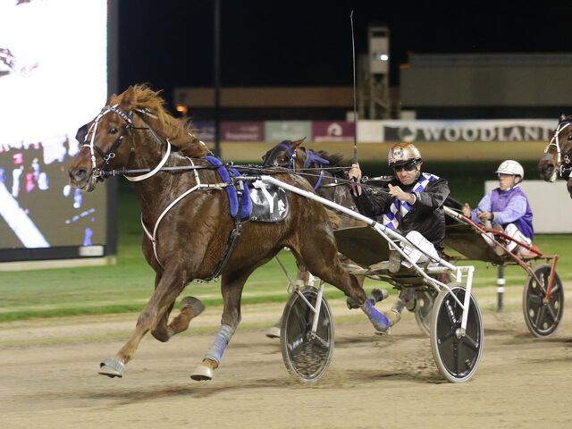 Rowe Cup success after double heart-break for breeders