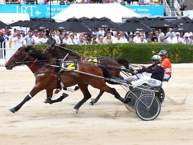 Peter & Jan Williams' first NZ Cup Day winner