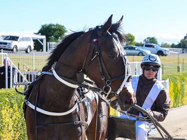 Lord Forbes - the 'Prince Charming' of Breeding Season