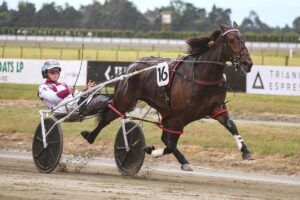 Joyride winning at Ashburton
Photo (c) Race Images Ajay Berry