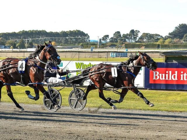 No Fluke About Delightful Peg’s Group Success