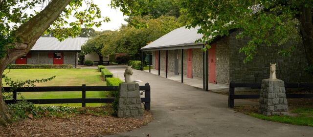 Service, scale and playing their part at Nevele R Stud