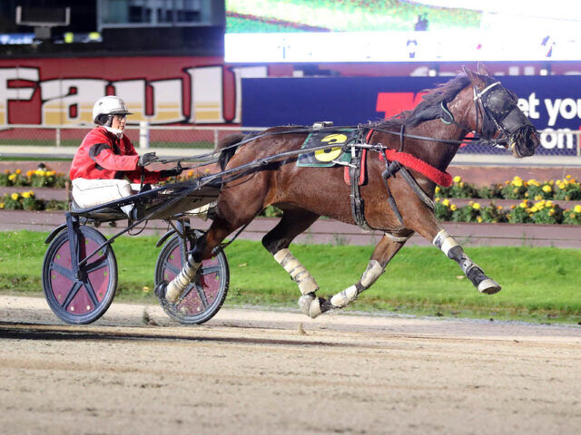 Silk Road Series Charts New Path for Fillies and Mares