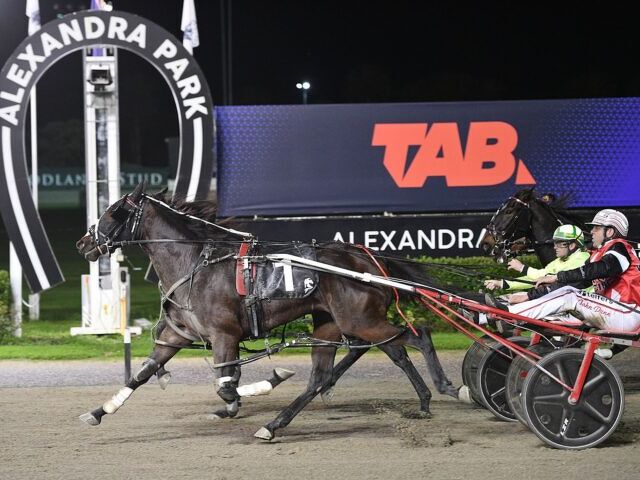 Roxburgh Breeder Punches Above Weight in Group 2 Thriller
