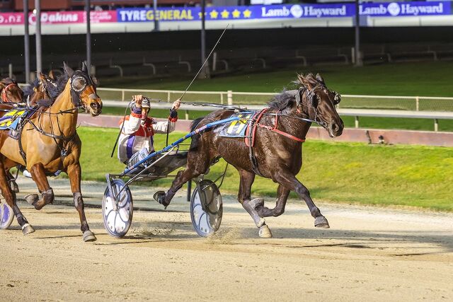 Harness 5000 Beckons After Smiths’ Addington Double