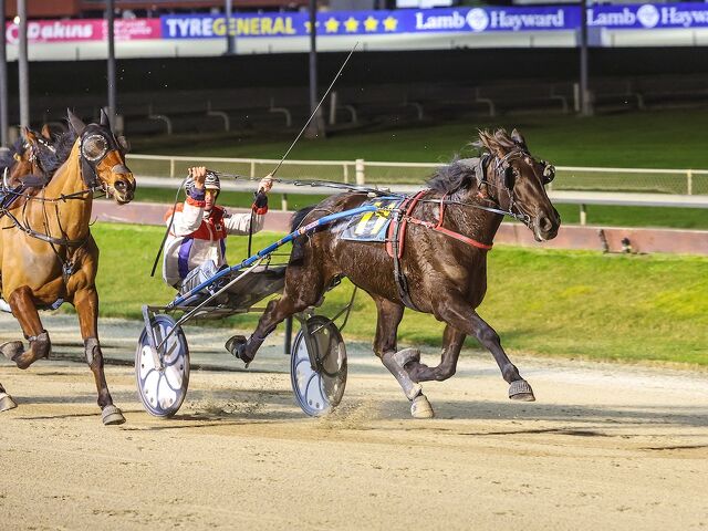 Harness 5000 Beckons After Smiths’ Addington Double