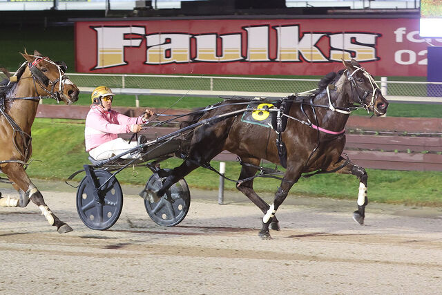 Top mares still a source of winners