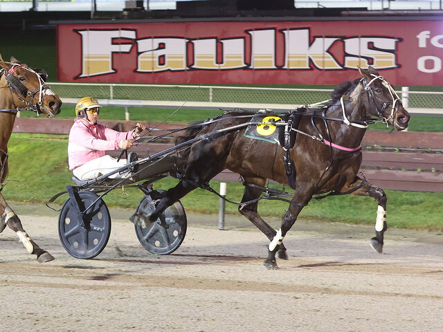Top mares still a source of winners