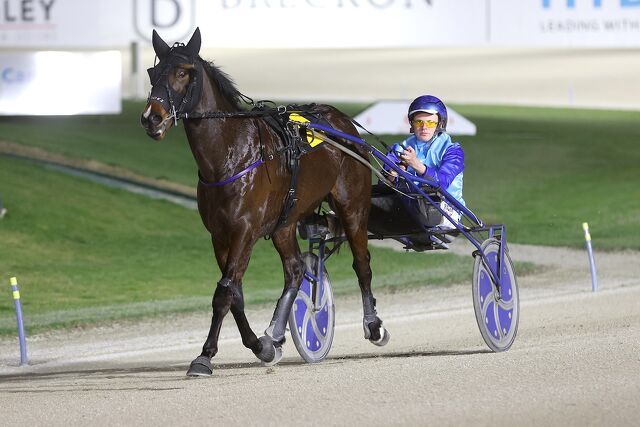 Landman: The Colt With a Stallion’s Pedigree