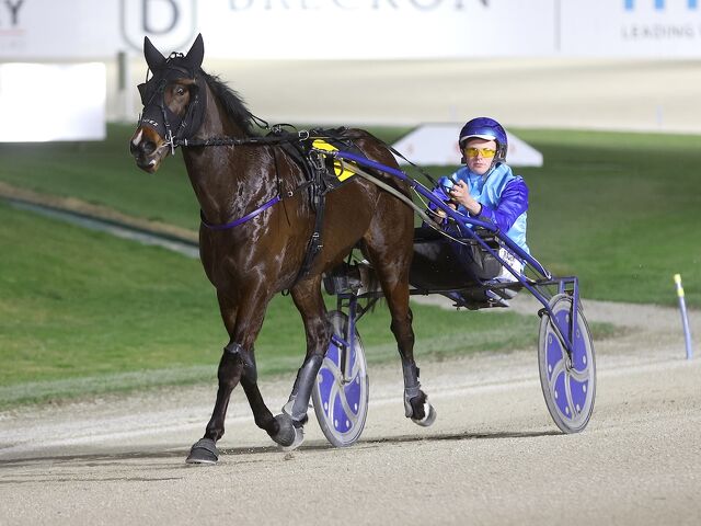 Landman: The Colt With a Stallion’s Pedigree