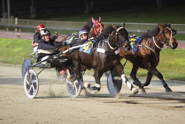 It’s So Easy for This Trotting Family