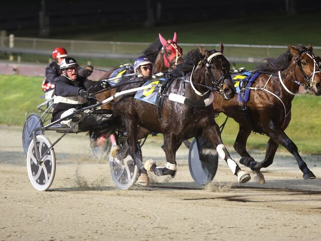 It’s So Easy for This Trotting Family