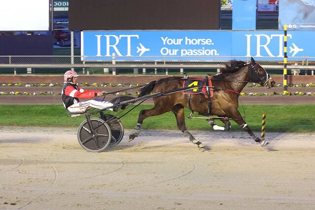 Petite Armour a promising filly with a pedigree