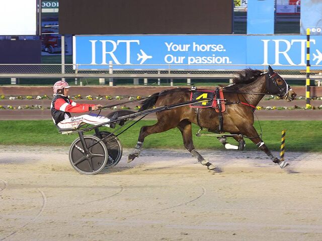 Petite Armour a promising filly with a pedigree