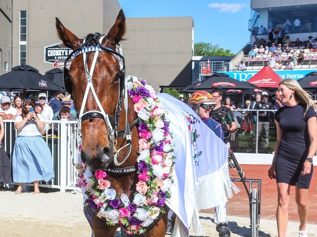 Tracy trotting up a storm for Pat