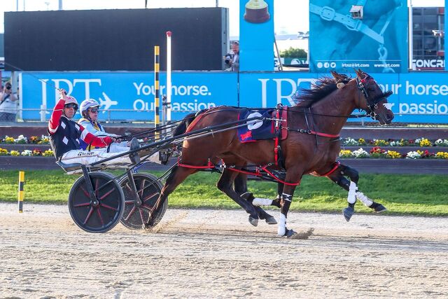 Scintillating Show Day Showcasing the Standardbred Breed