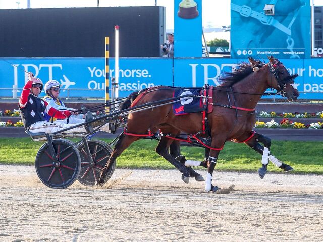 Scintillating Show Day Showcasing the Standardbred Breed