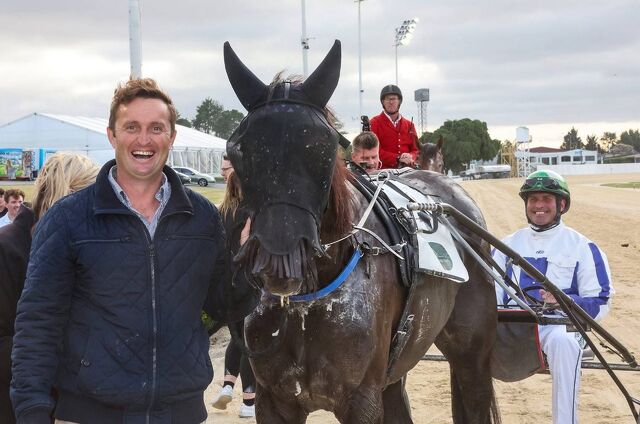 Dash delivers for trotting stalwarts