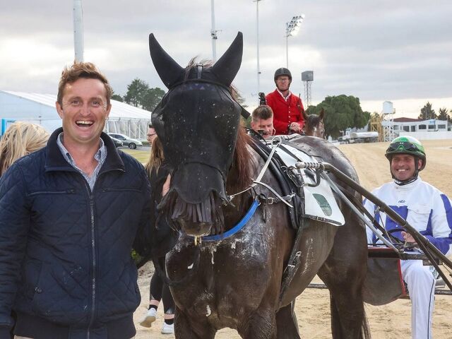 Dash delivers for trotting stalwarts