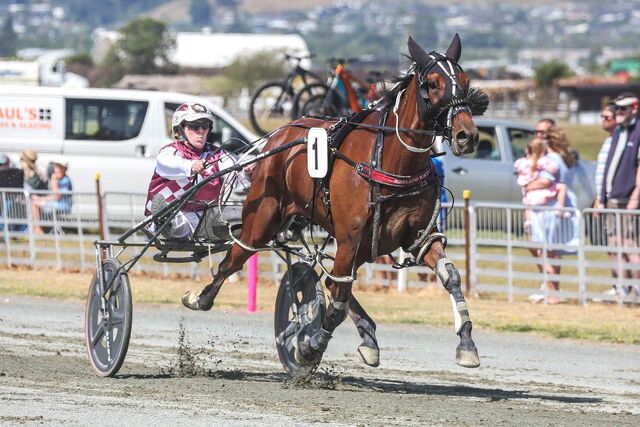 Nelson winners full of staunch bloodlines