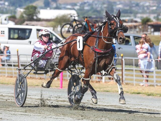 Nelson winners full of staunch bloodlines