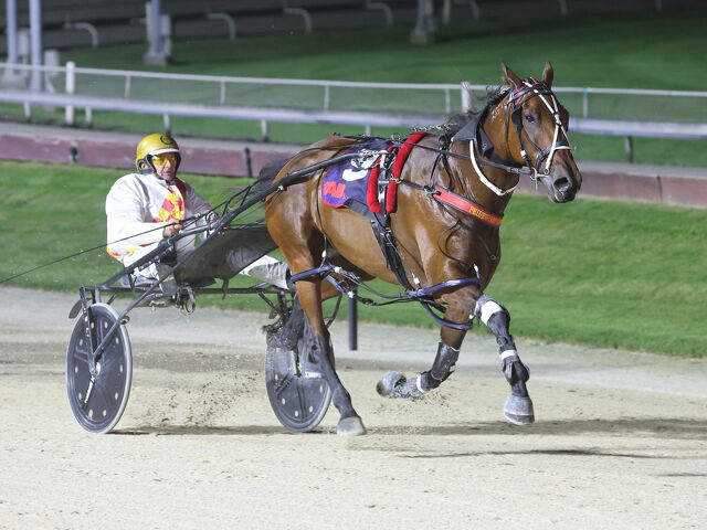Breeding Snippets | Late March Standouts and Emerging Families