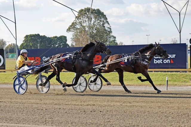Breeding Notes: Established Families Continue to Fire