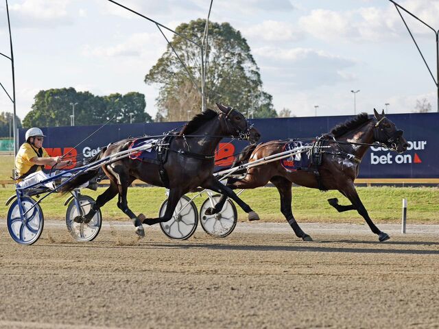 Breeding Notes: Established Families Continue to Fire