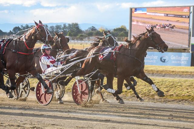Breeding Snippets | Speed Families, Broodmare Royalty and Emerging Stars