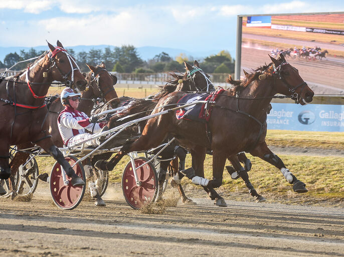 Breeding Snippets | Speed Families, Broodmare Royalty and Emerging Stars