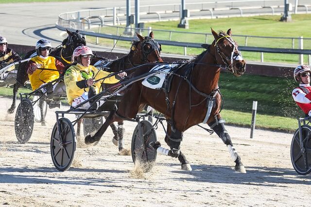 Breeding Snippets | Established Families Continue to Deliver