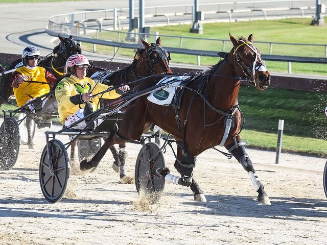 Breeding Snippets | Established Families Continue to Deliver