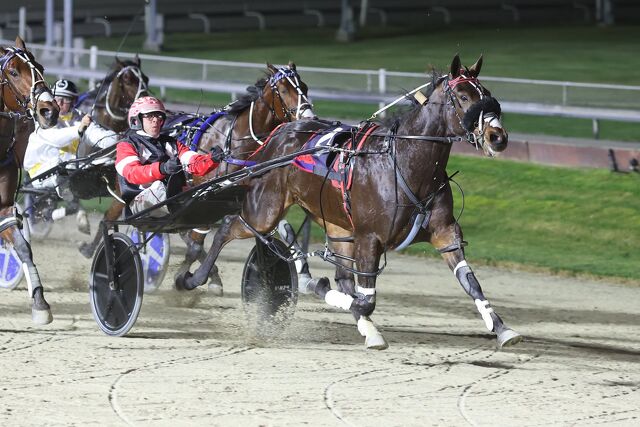 Breeding Snippets | Commercial Families, Trotting Traditions and Emerging Talent
