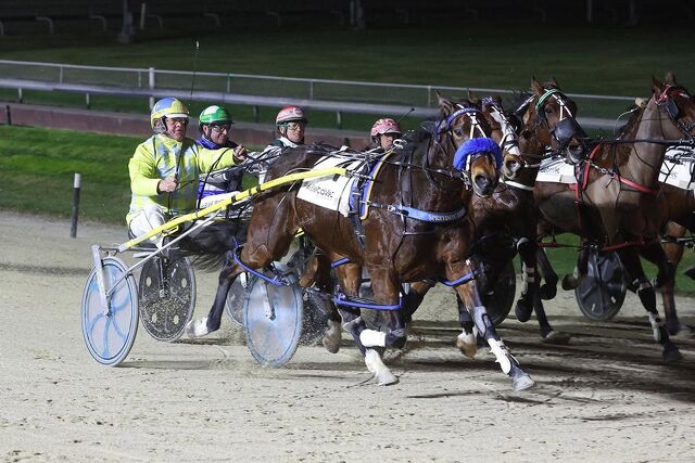 Breeding Snippets: Families firing as winter form takes shape