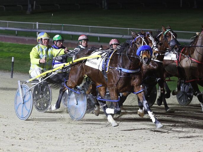 Breeding Snippets: Families firing as winter form takes shape