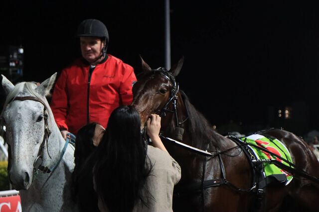 Double delight for Southland breeders Taffy Limited