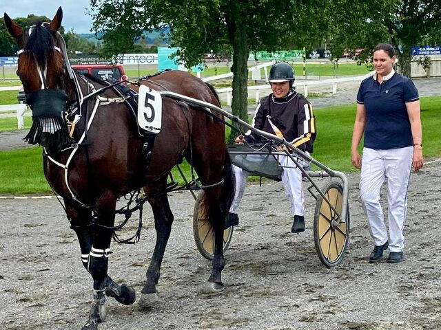 Adrienne Matthews – the complete horsewoman!