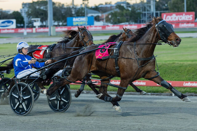 Gary Moir makes a Cool comeback