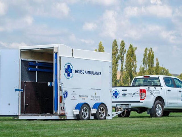 Finish line in sight for Horse Ambulance Trust
