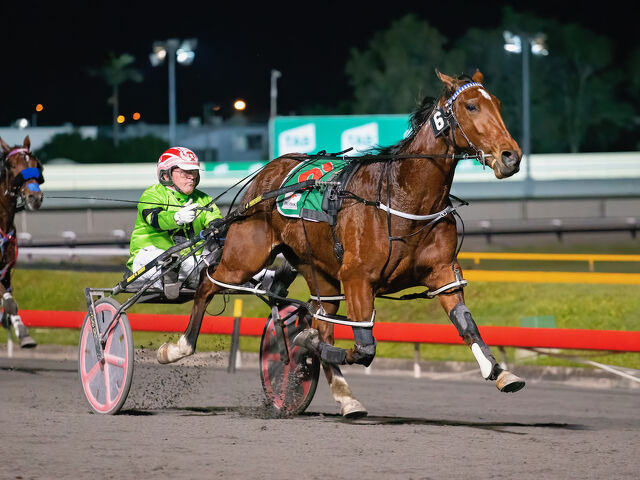 Yearling purchase paves the way for top filly