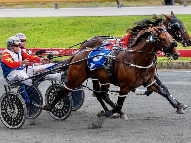 Aroda on Derby Trial