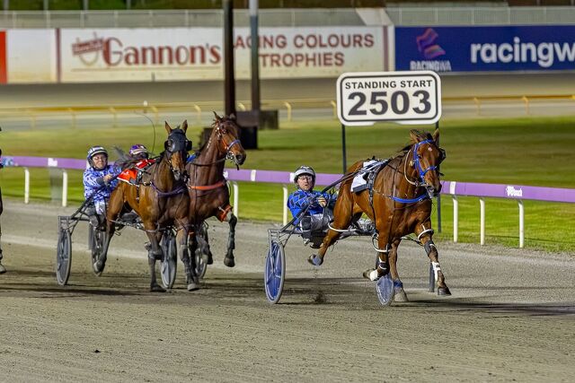 Auckland bred reigns Supreme in Perth