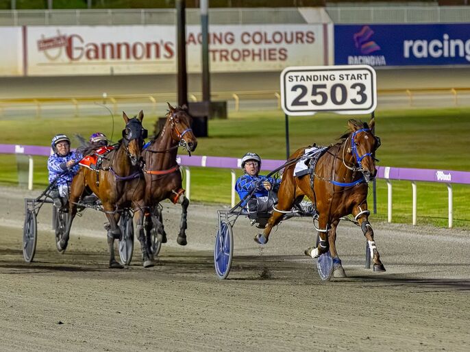 Auckland bred reigns Supreme in Perth