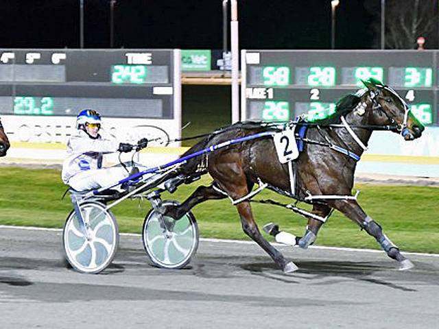 Rose gives Purdons breeding success