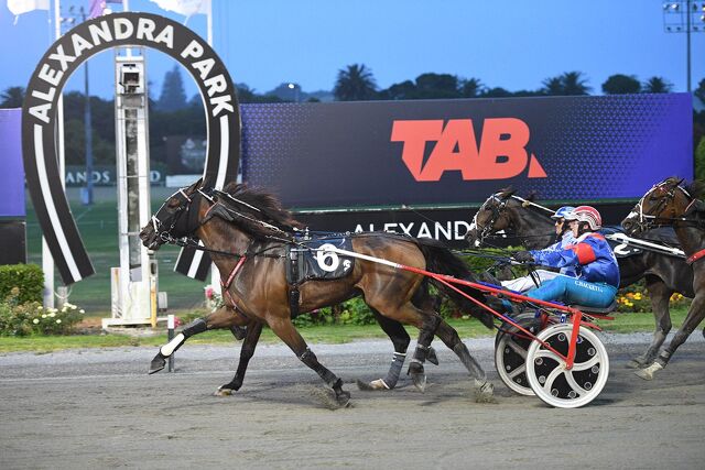 Breeding Notes: Depth of Pedigree on Show Across the Weekend