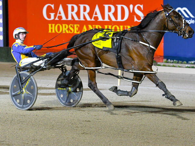 Boutique Canterbury breeders in the Cash