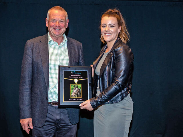 Bettors Delight 2019/20 NZ Pacing Stallion of the Year